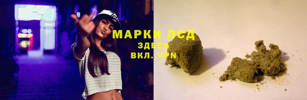 гашик Михайлов