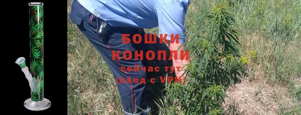 молекула духа Туринск