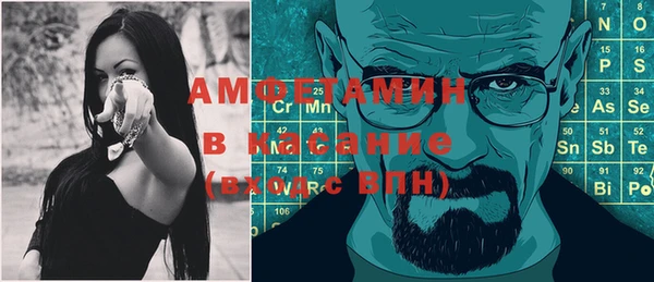 гашик Михайлов