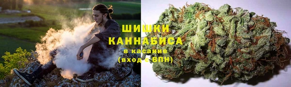стаф Медвежьегорск