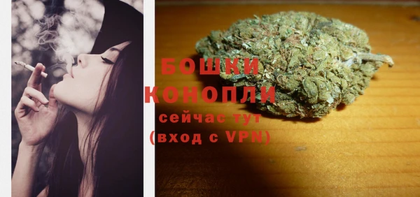 гашик Михайлов
