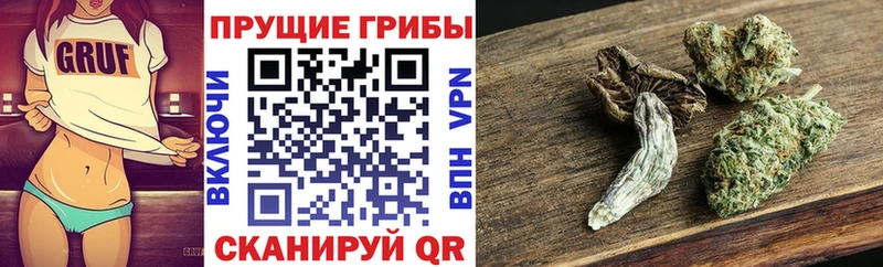 Галлюциногенные грибы Magic Shrooms Нелидово
