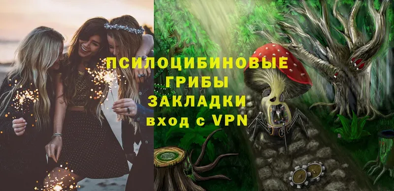 OMG   хочу наркоту  Нелидово  Псилоцибиновые грибы Psilocybe 